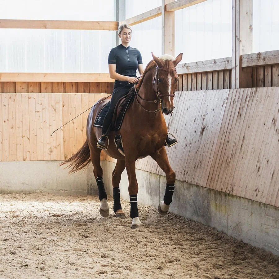 Dieses Bild zeigt eine Reiterin, die einen fuchsfarbenes Pferd reitet.