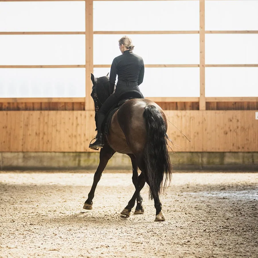 Dieses Bild zeigt eine Reiterin beim Reiten von Seitengängen in der Halle.